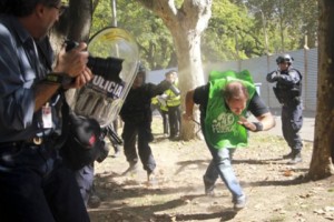 borda 7