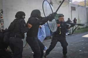borda 8
